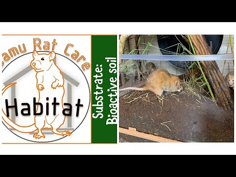 Substrate: Bioactive soil