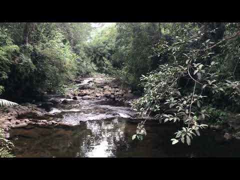 Gentle Stream Flow Serenity 🌊 | 1 Min ASMR Calm | 4K