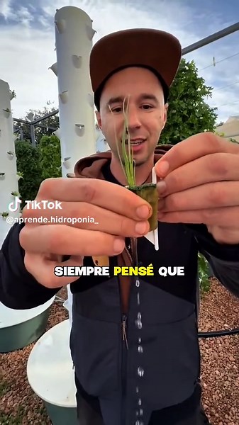 Sígueme para aprender más sobre la hidroponía 🙌🏻👇🏻 #hidroponia #agricultura #hidroponiaencasa #cultivo #huerto
