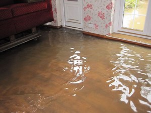 Flood Cleanup Tips