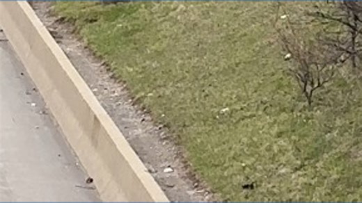 Welcome to Buffalo sign changed