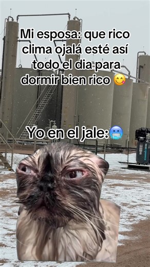 #MemeCut #oilfield #crudeoil #westtexas #Meme | crude oil