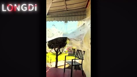 Natural Vitality Calm Mind, Magnesium Citrate + L-Theanine Powder, Supplement for Stress Relief, Gluten Free & Vegetarian, Unflavored, 12 oz.