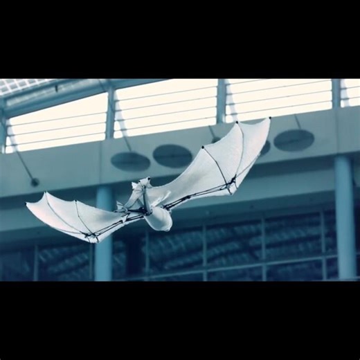 Bionic BAT Drone 🦇 #shorts #Bionics #Drone #recon #military