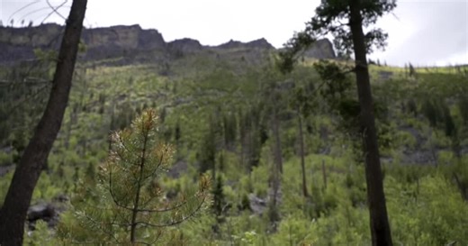 Mining company to revise, reduce draft plan in Sheep Creek Project exploration proposal