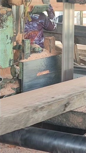 Using a Table Saw to Improve the Surface Quality of Red Meranti #wood