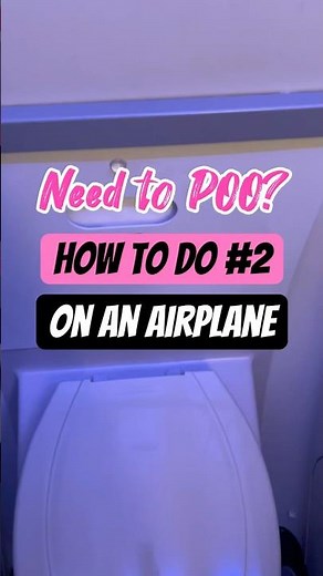 Airplane Tip: Need to Poo? Here’s how to flush all the evidence. #traveltip