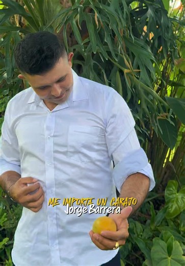 Gusanos comiendo limón: ¿mito o realidad?