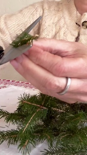 1.7M views · 2.1K reactions | Spruce needles are high in Vit C and A....