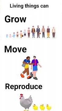 Living and Non-Living Things | Grade 1 Science Lesson 1 | Science World