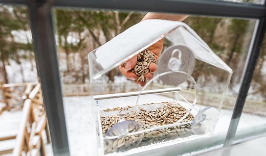 14 Best Window Bird Feeders Reviewed and Rated in 2025