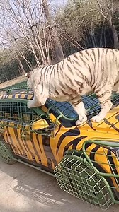 funny clips on Reels