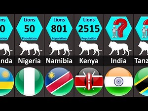 Most Lion Population by Country 2022