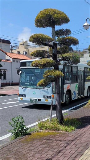 鹿児島交通 1353