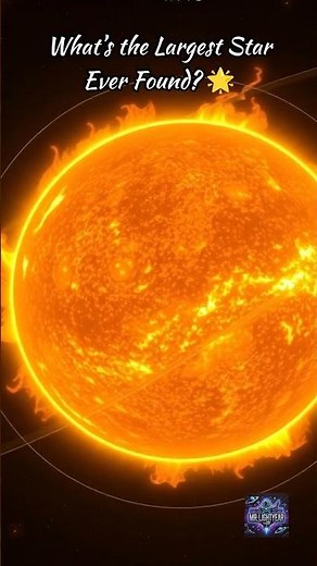 What’s the Largest Star Ever Found in Universe? 🌟 #space #astronomy