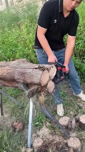 Power + Efficiency | High-Power Chainsaw Logging Process