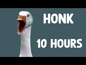 HONK 10 Hours
