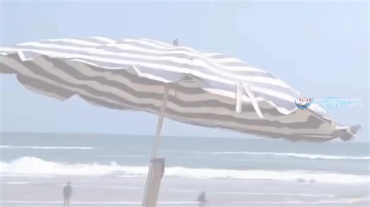 🌊 Puri Beach – A Spiritual Sunrise Destination Experience calm waves, golden mornings, and a soulful start to your day.😇 Ideal for meditation, morning walks & peaceful getaways. Plan with https://www.mypuritour.com/puri-beach/ 🌅✨ #mypuritour #PuriBeach #SunriseInPuri #SpiritualJourney #ExplorePuri #BeachVibes | Mypuritour - Puri Holidays & Tours