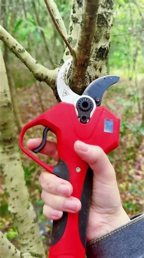 A shearing machine that makes it easy to cut branches #shorts
