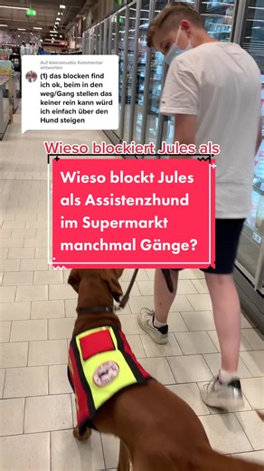 Warum blockiert Jules als Assistenzhund im Supermarkt manchmal Gänge?
