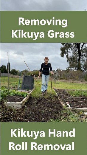 Remove Kikuya grass with no chemicals! #kikuya #gardeningtips