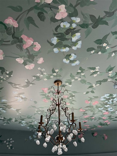 Beautiful Ceiling Mural for Our Library Creation