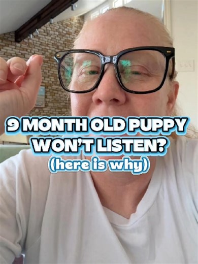 9 month old puppy won’t listen? 🐶 This is adolescent puppy behavior, not training failure. If your puppy suddenly ignores cues, acts “wild,” or feels different around other dogs, you’re in the teenage puppy phase (7–10 months) 🧠🔥 More exercise alone won’t fix it 🚫🏃‍♂️ Over-exercising creates a dog who needs more and still can’t settle. What actually helps adolescent puppies listen again 👇 ✔️ structured play training 🎾 ✔️ sniffing enrichment (sniffaris) 👃🌿 ✔️ teaching calm with mat work 