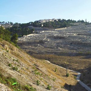 1.5K reactions · 86 shares | “Have you ever wondered what the Holy...