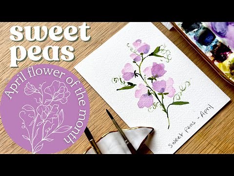 Watercolor sweet peas- April birth month flower