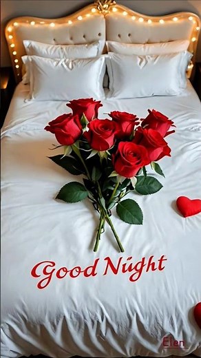 GOOD NIGHT video - YouTube