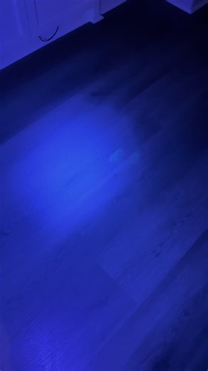 POV: You thought you were a loving dog mom… but the black light reveals you’re actually a crime scene investigator and the suspect is a 10-lb puppy named Hagrid. 🕵🏽‍♀️🐶✨