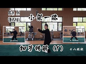 Baji Quan Detail Explanation1【Chinese Martial Arts/Kung Fu】Tutorial Session3 Form1: 八极拳教学 小架一路 细节讲解1