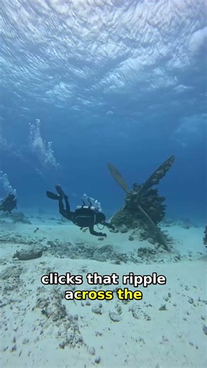 Bloop Mystery Solved: Iceberg Collapse Revealed! 🚢🔊