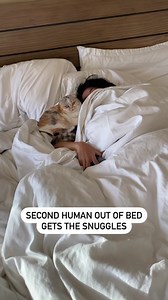 2.1M views · 25K reactions | First human out of bed scoops da poop   #cats #cat #love #luna #babyloon | Hello_Luna_Rose | Facebook