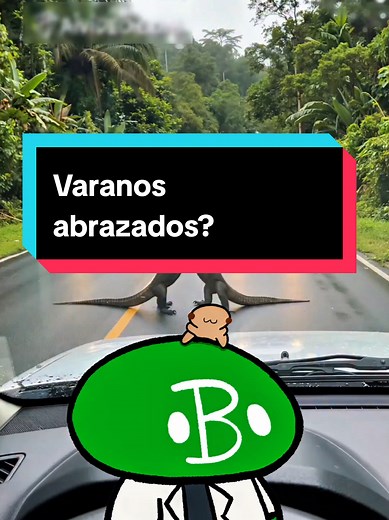 Varanos abrazados? 🤔 #biología #biologiadesdecero #varanos #animales #curiosidades