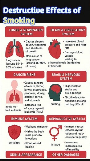 🚭 The Shocking Dangers of Smoking | Destroying Your Body Slowly | Why Smoking is So Dangerous ..?