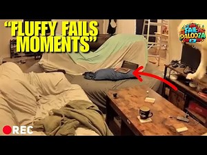 50 Animal Fail Moments