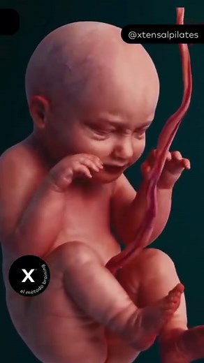 20K views · 684 reactions |  Profundizando en la Biomecánica del...