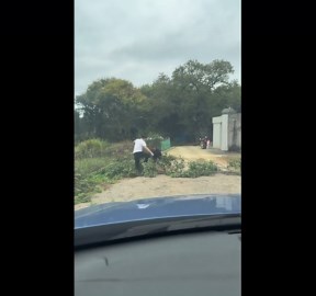 Hilarious fall while helping move fallen tree in Guangdong, China