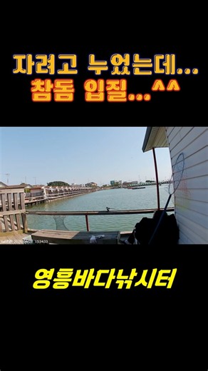 영흥바다낚시터_참돔 #fishing #낚시 #바다유료터 #영흥바다낚시터 #바다낚시 #참돔 #대부도낚시 #찌낚시