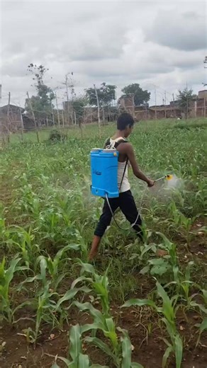md shahid on Instagram: "FARMER LIFE 😊 . Ajad Ansari . . . #pageviralシ゚ #facebookpostシ #nonfollowersシ゚ #pageシforyou #nonfollowersviewers #RepublicDay2026 #viralreels #reelkarofeelkaro #Non #knowledge #exploremore #explore #viralchallenge #kisan #farmer #FacebookPage"