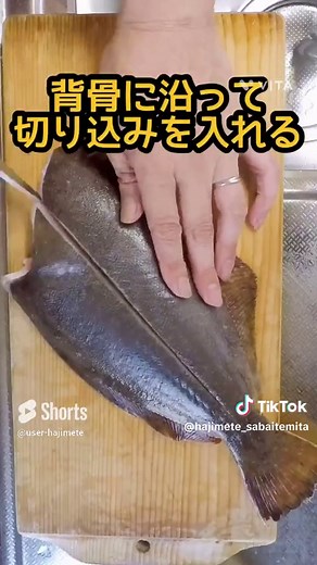 ヒラメさばき練習 #初めてさばいてみた #魚をさばく #魚を捌く #さばく #ヒラメ #平目