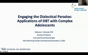 Engaging the Dialectical Paradox: Applications of DBT with Complex Adolescents