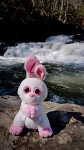 BUNNY IS GOING TO BUNNY CAUSE THAT'S WHAT BUNNIES DO. 🐰🐰🐰🐰🐰🐰 #easter #easterbunny #bunny #bunniesofinstagram #bunnyrabbit #bunnylover #bunnylove #happyeaster #waterfall #waterfalls #reelsinstagram #instagood #insta #nature #naturelovers #smile #hikingadventures #appalachiantrail #thruhike #hike #hiking | Trail Marshall Hiking