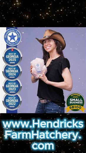 A closer look at grocery store beef #grassfed #ethanolproduction #wasteprocessing #behindthescenes | Hendricks Farm