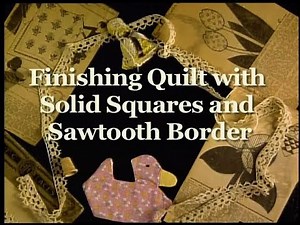 "Finishing Quilt with Solid Squares and Sawtooth Border" Grandmothers Garden