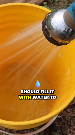 35 shares | Why #1 is my #2 favorite fertilizer. | Grow Everywhere | Facebook