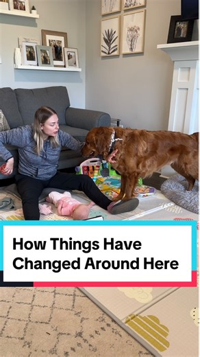 OH HOW THE TURN TABLES! Lol anyone else dealing with this struggle with a newly mobile baby? 🤦🏼‍♀️ follow if you can relate! #dogandbaby #dogandbabysafety #babysafety #dogmom #dogsofinstagram | Air Bud Kobe
