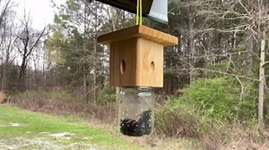 Carpenter Bee Trap for Outside - Church Style Nature Hanging Wood Carpenter Bee Traps Outdoor - Insect Traps with Removable Vault(4 Pack)