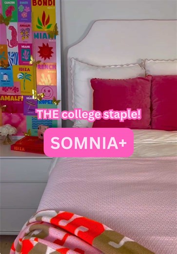 Top College Essentials for Your Dorm Room